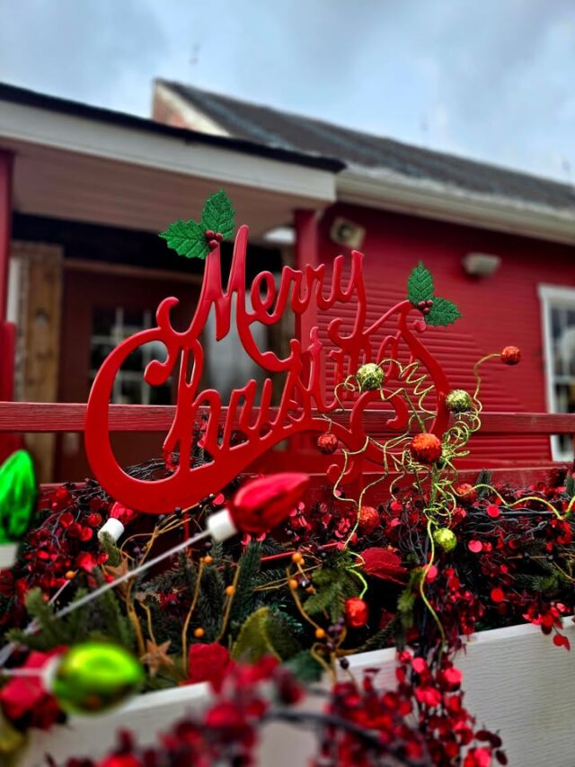 Our porch flower boxes are bursting with festive cheer, which can only mean one thing…
✨ The Legendary Lights of Clifton Mill return in LESS than two weeks! ✨

📅 Opening Night is Friday, November 28th — gates open at 5:00 PM and the lights come on at 6:00 PM!

We can't wait to light up the night and welcome you to the magic. Christmas is coming — and it's shining bright! 🎄🌟

https://cliftonmill.com/christmas-lights/