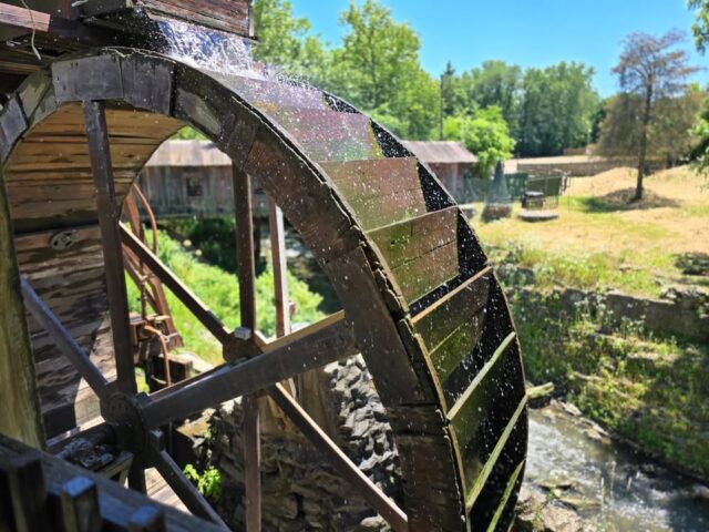 🌼Spring has entered the chat… and she understood the assignment. 🌼

The first day is serving perfect weather, so why not treat yourself? Come out to Historic Clifton Mill for a meal with a view, then take a well-deserved stroll around our property—or wander off to one of the nearby parks and soak up all that fresh spring energy. 🌿✨

Good food, gorgeous views, and that “finally feels like spring” kind of day. 🌤️

cliftonmill.com