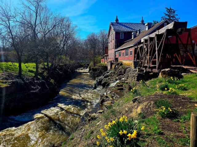 Daffodils in bloom, the Little Miami River flowing, and the red Mill shining—your perfect spot for a spring breakfast or lunch! 🌤🌿🌼

cliftonmill.com 
#springvibes
#ohioroadtrips
#springblooms